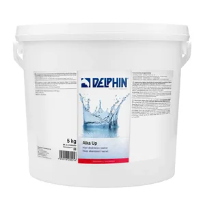 Alka Up 5kg Granulat Pool