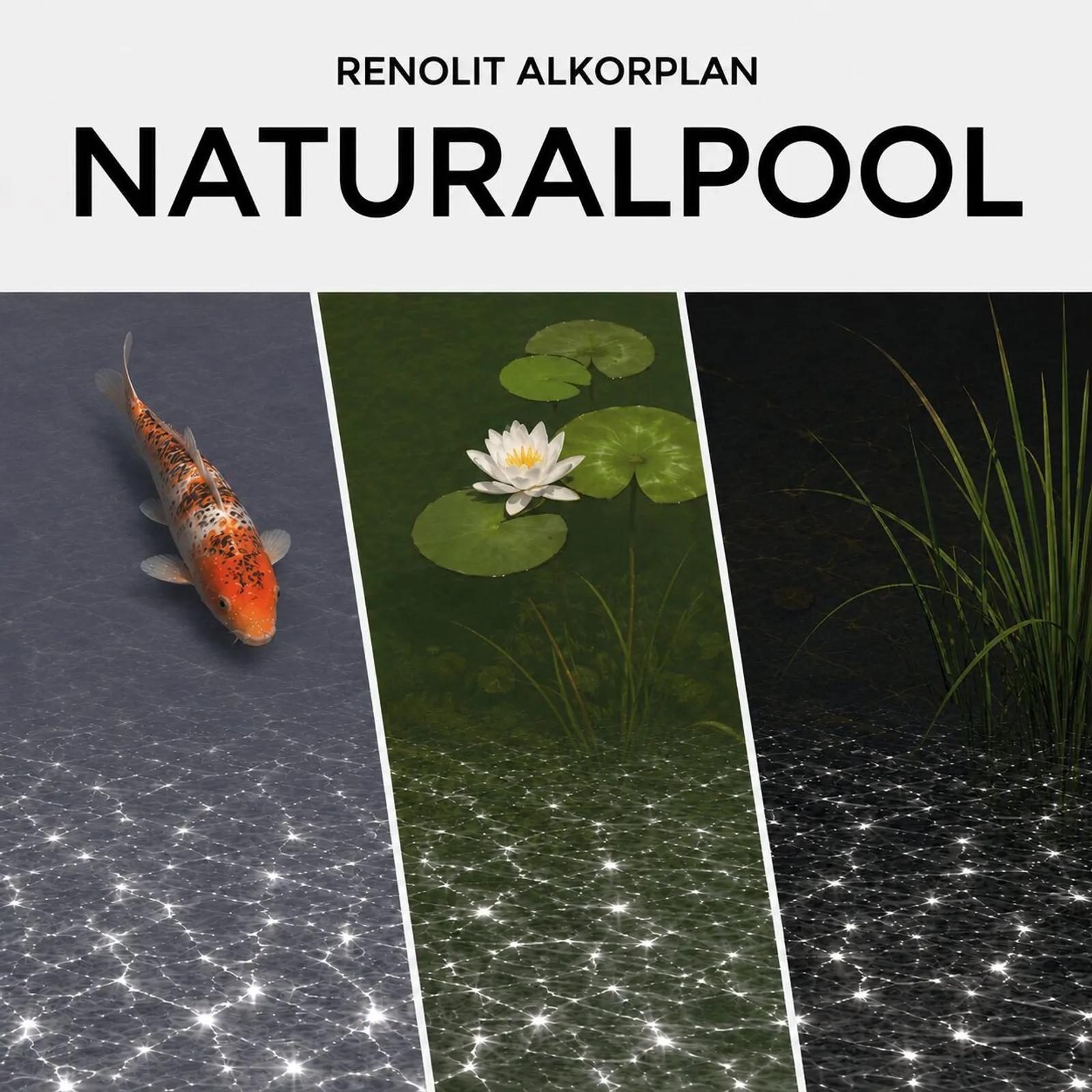 Renolit Alkorplan NaturalPool