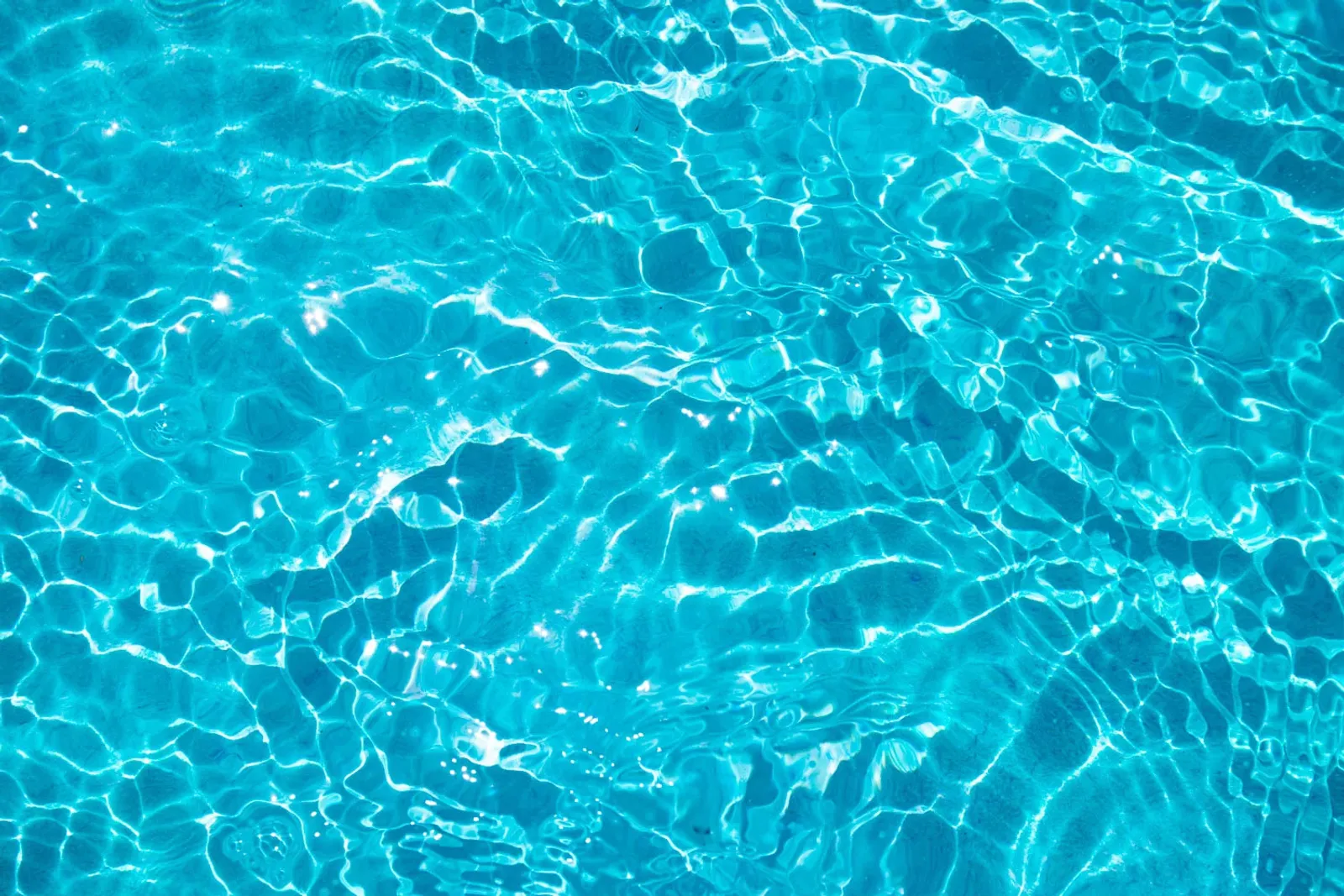 Liner Summer - bild 4