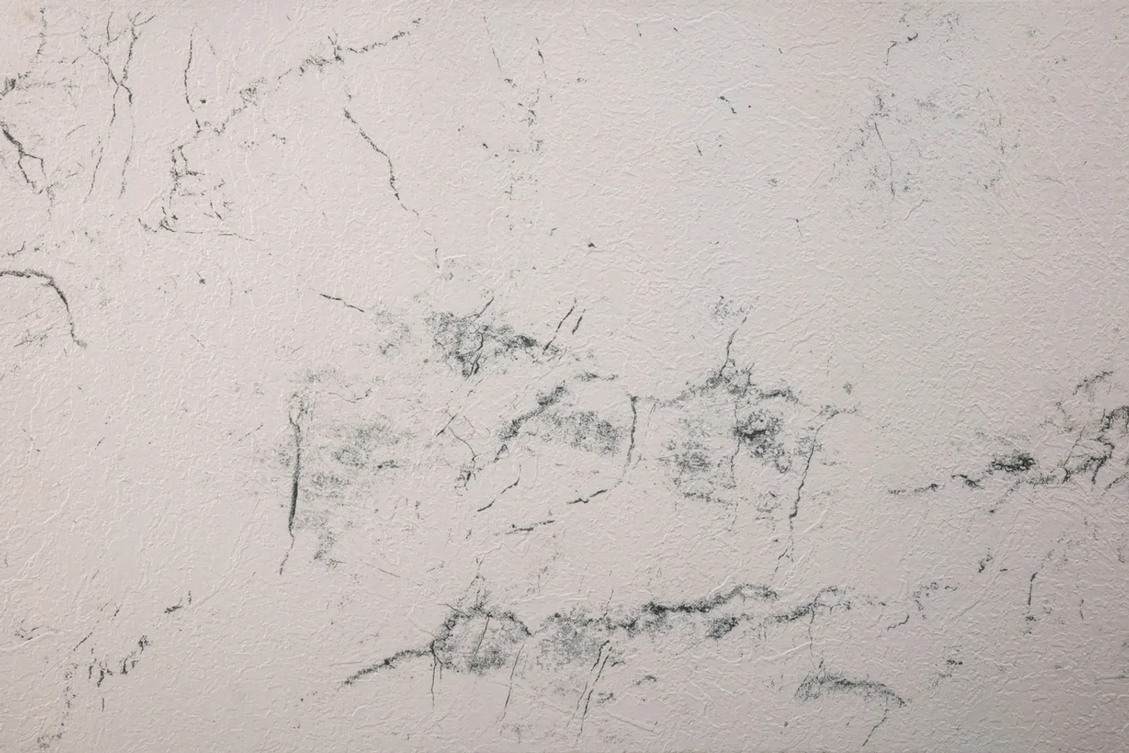 Liner Sensitive White - bild 1