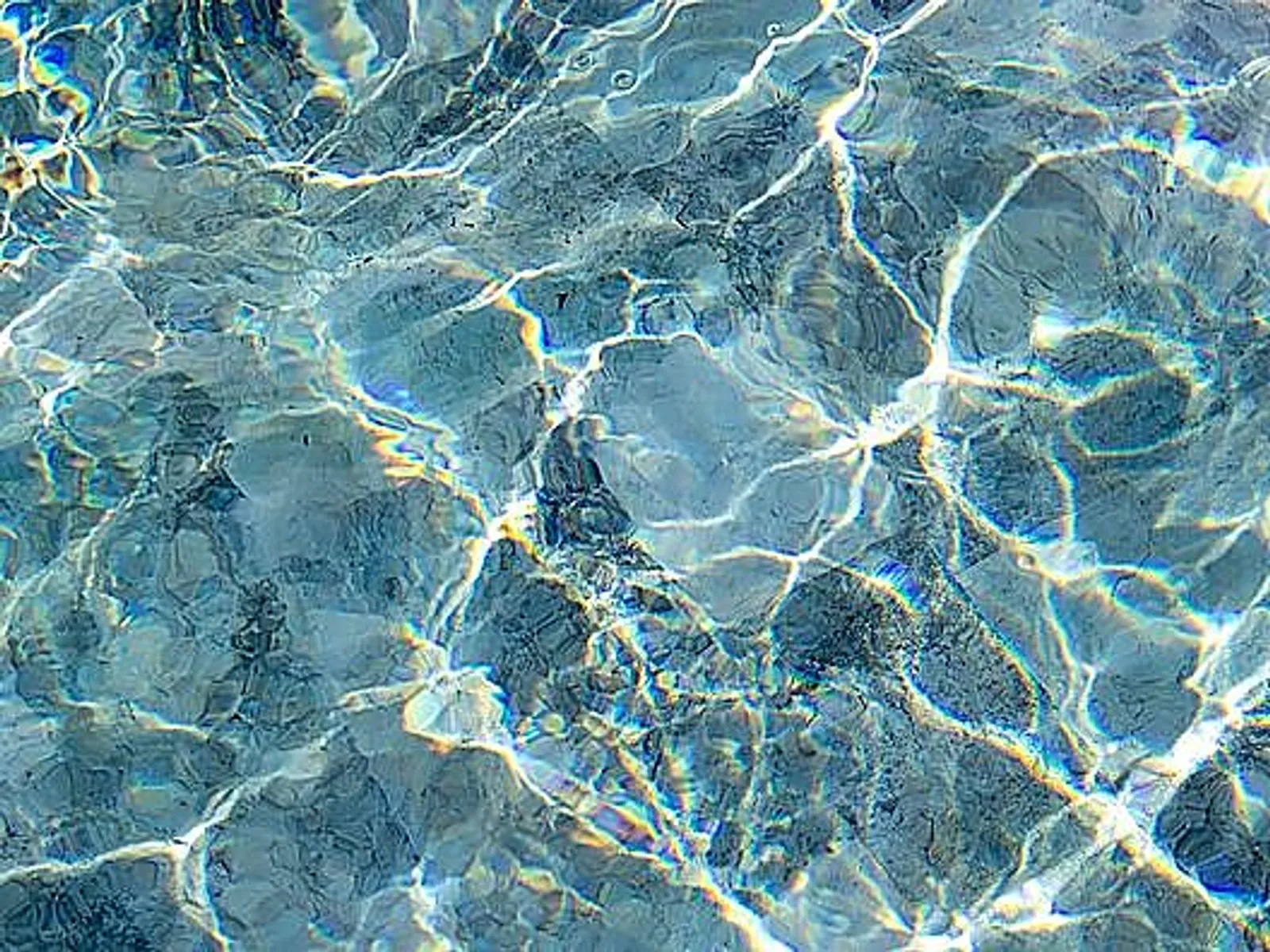 Liner Verdant - bild 4