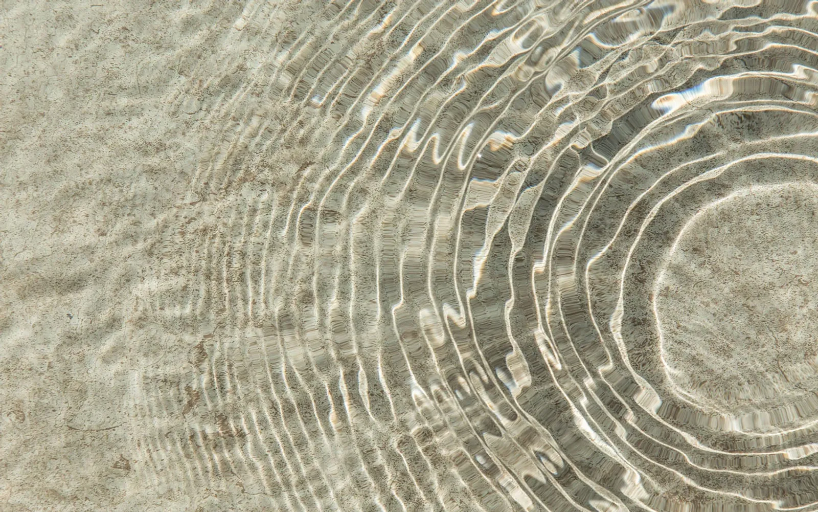 Liner Sublime - bild 3